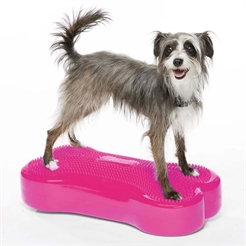 FitPaws K9 Fitbone Balans Träning För Hund Razzleberry